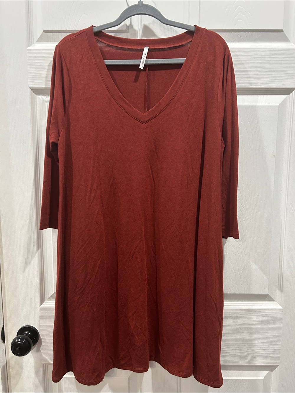 NWOT Rust V-Neck Swing Dress